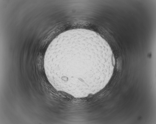 X0000115011059200912071159