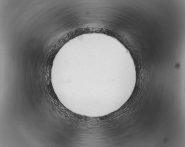 X0000115011062200912071159