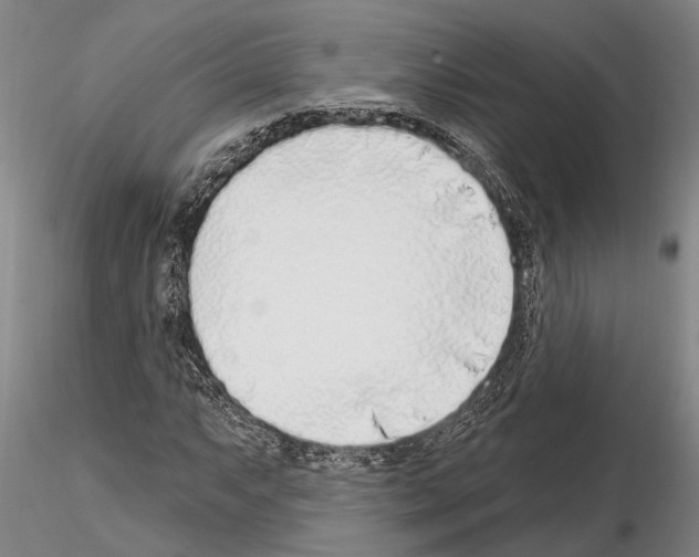 X0000115011063200912071159