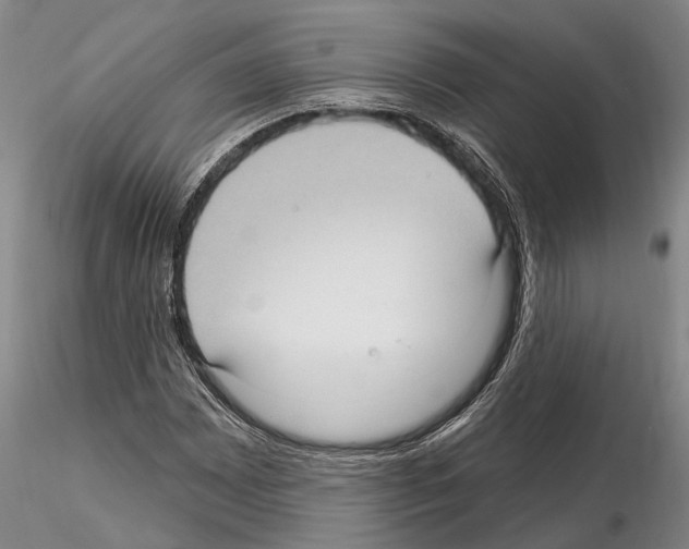 X0000115011065200912071159