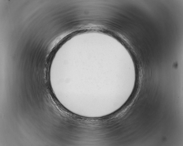 X0000115011066200912071159