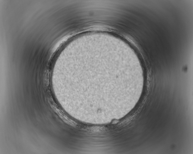 X0000115011067200912071158