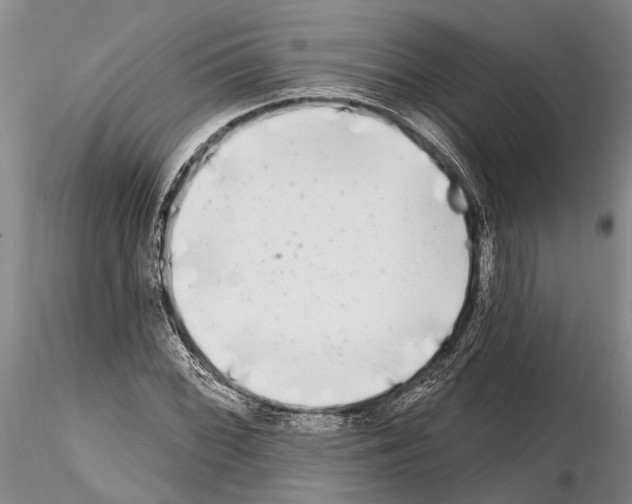 X0000115011068200912071158
