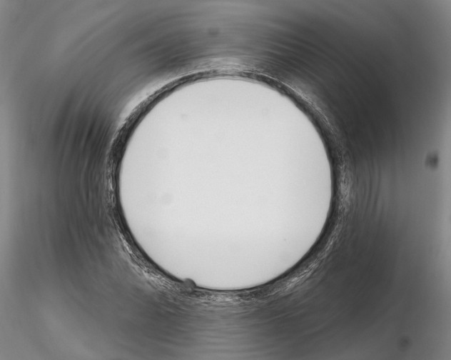 X0000115011070200912071158