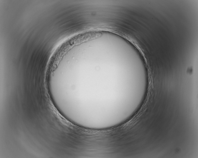 X0000115011072200912071158