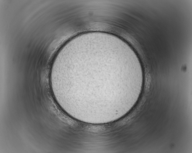 X0000115011074200912071158