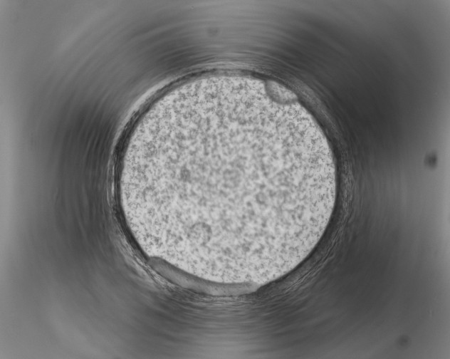 X0000115011076200912071158