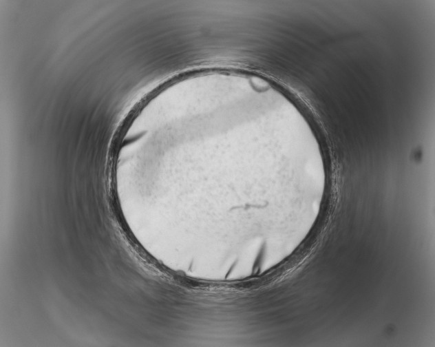 X0000115011077200912071158