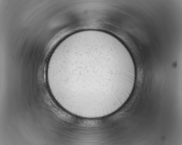 X0000115011078200912071158