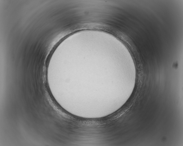X0000115011079200912071158