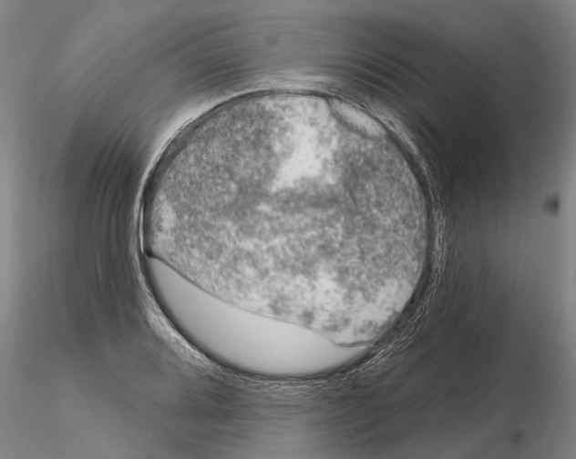 X0000115011080200912071158