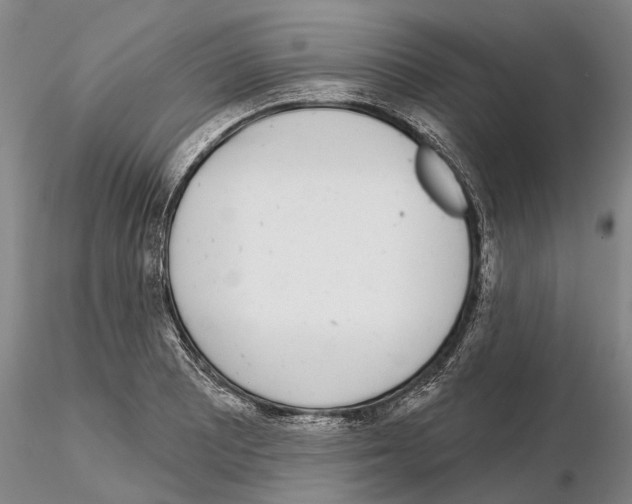 X0000115011081200912071158