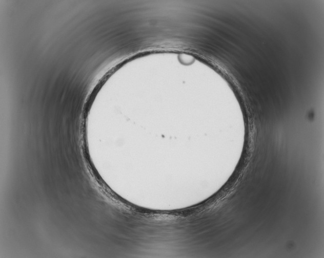 X0000115011085200912071158