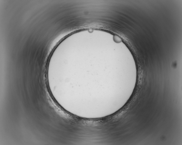 X0000115011086200912071158