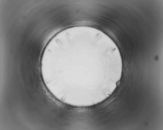 X0000115011087200912071158