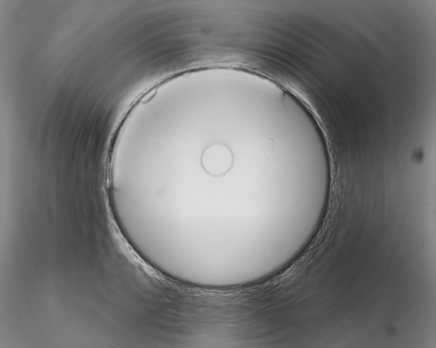 X0000115011088200912071158