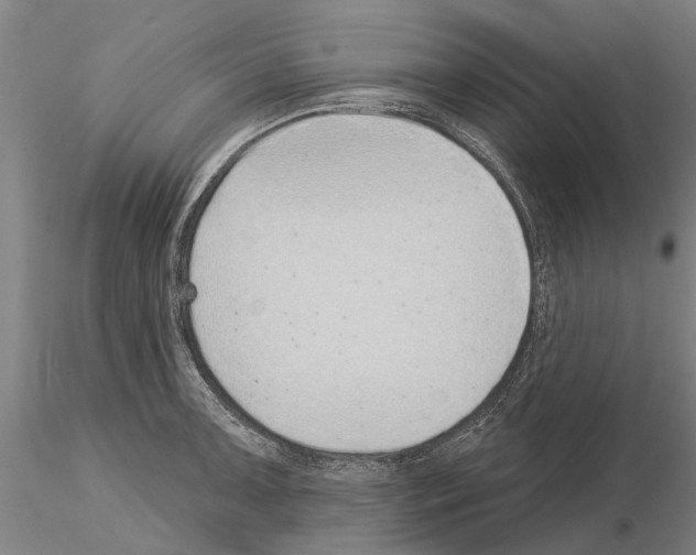 X0000115011091200912071158