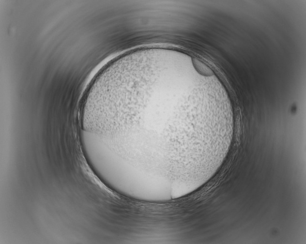 X0000115011092200912071158