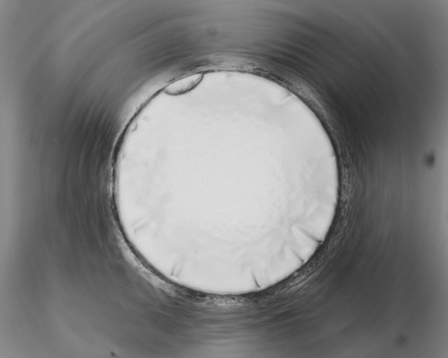 X0000115011095200912071158