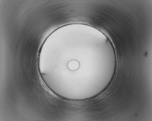 X0000115011096200912071158