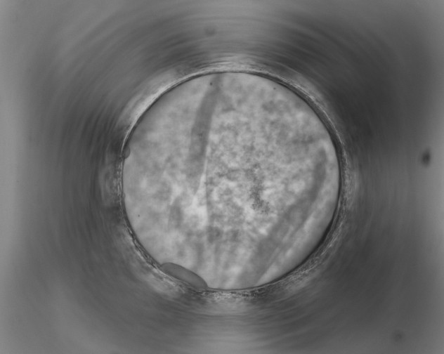 X0000115011097200912071158