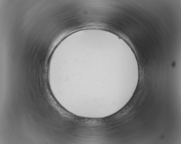 X0000115011099200912071158