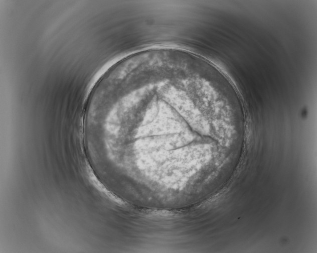 X0000115011100200912071158