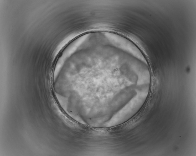 X0000115011101200912071158
