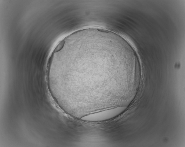 X0000115011104200912071158
