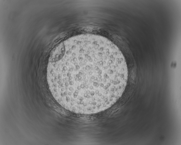 X0000115011105200912071157