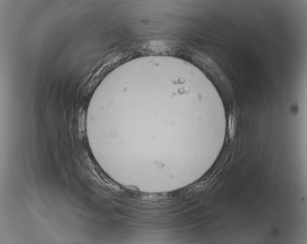 X0000115011107200912071157