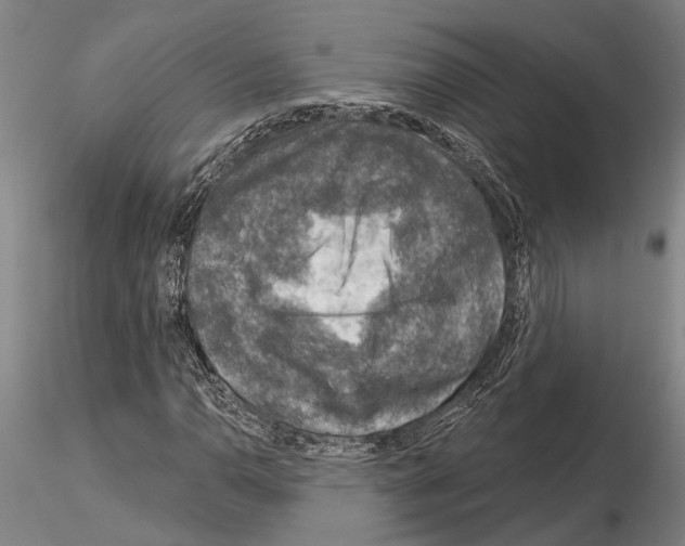 X0000115011110200912071157