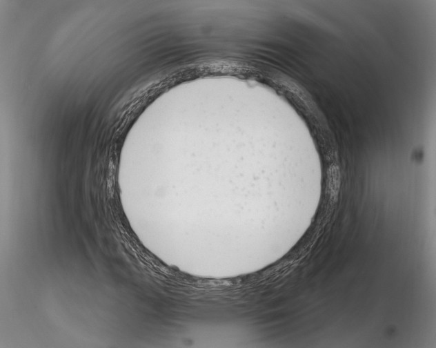 X0000115011111200912071157