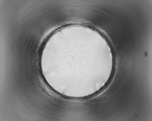 X0000115011114200912071157