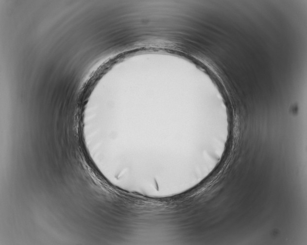 X0000115011115200912071157