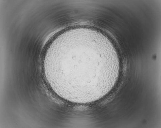 X0000115011117200912071157