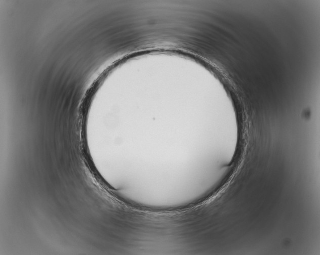 X0000115011118200912071157