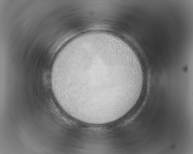 X0000115011121200912071157
