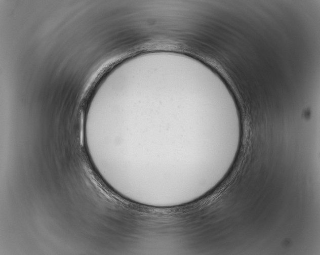 X0000115011123200912071157