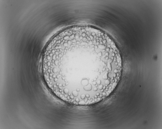 X0000115011126200912071158