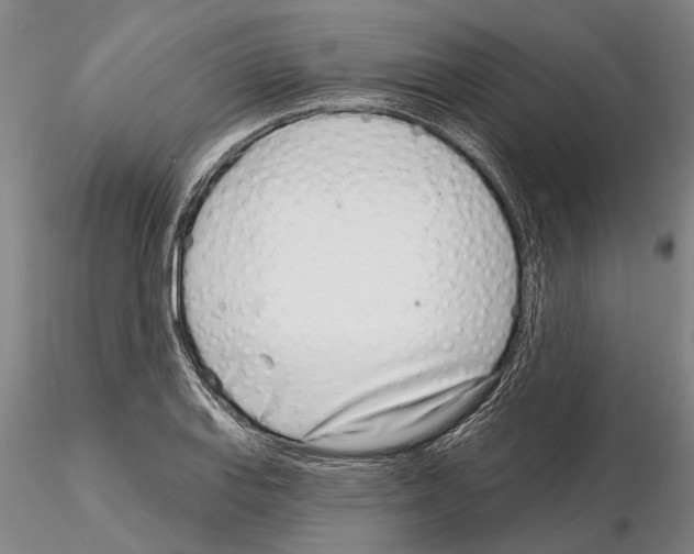 X0000115011127200912071158