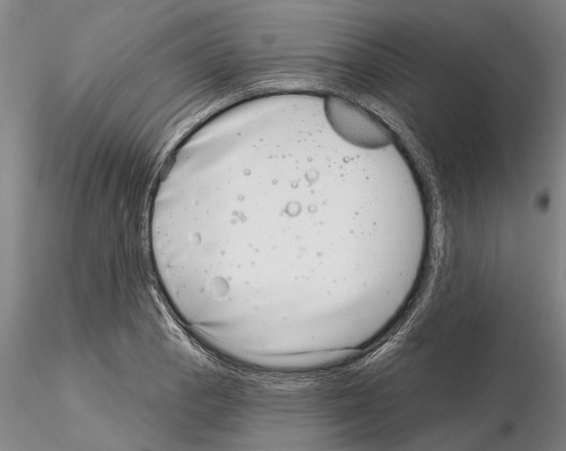 X0000115011129200912071158