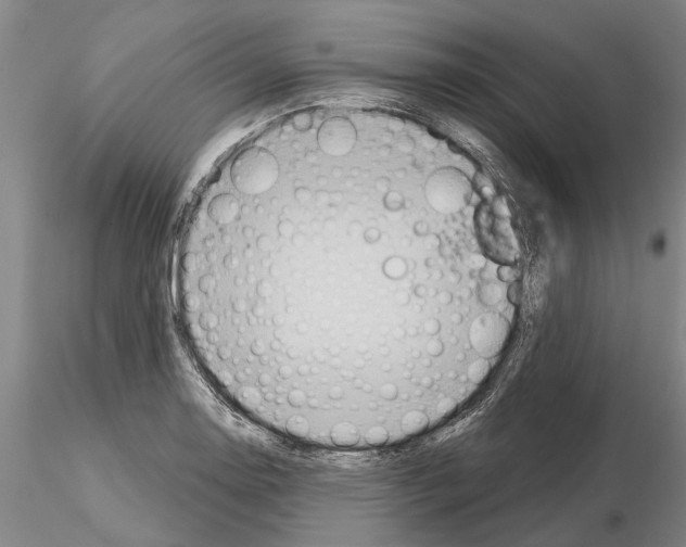 X0000115011130200912071158