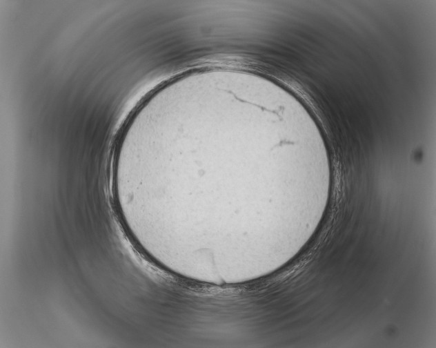 X0000115011131200912071158