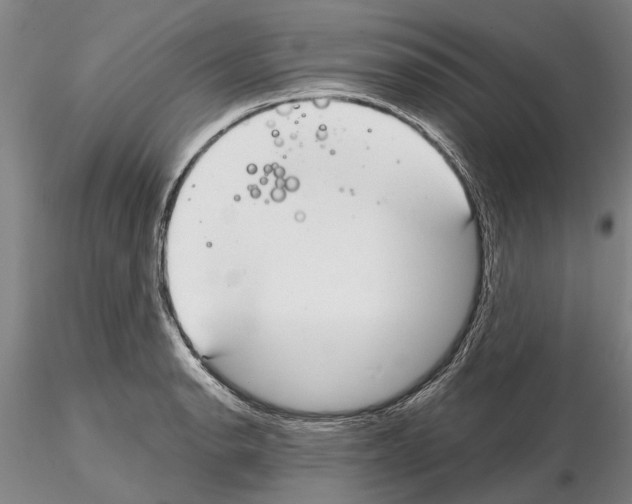X0000115011134200912071158