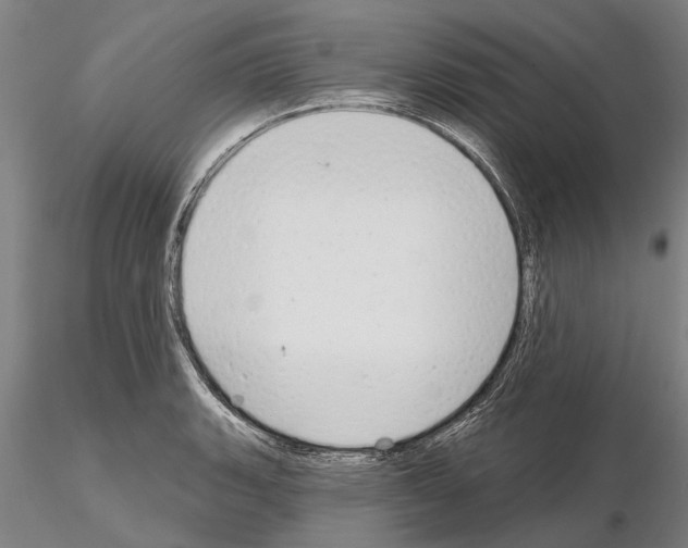 X0000115011135200912071158