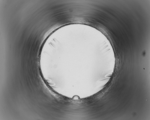 X0000115011141200912071158