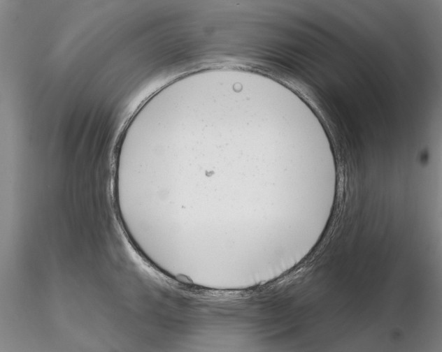 X0000115011143200912071158