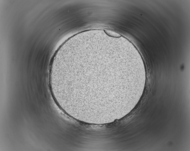 X0000115011147200912071158