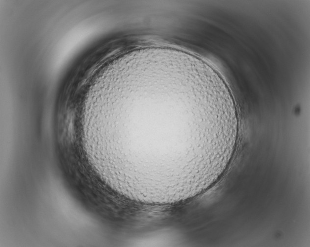 X0000115011150200912071158